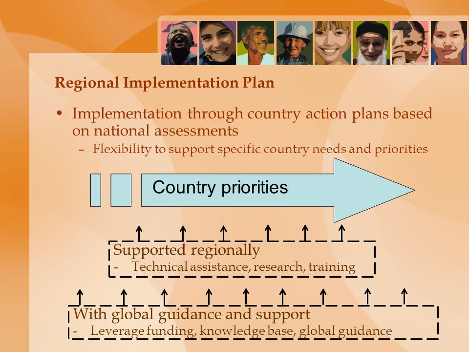 Regional Implementation Plan Implementation through country action plans based on national assessments –Flexibility to support specific country needs and priorities Country priorities Supported regionally -Technical assistance, research, training With global guidance and support -Leverage funding, knowledge base, global guidance