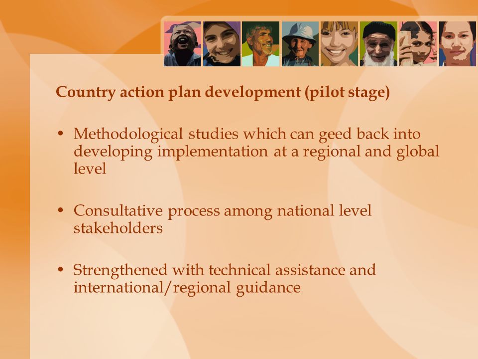 Country action plan development (pilot stage) Methodological studies which can geed back into developing implementation at a regional and global level Consultative process among national level stakeholders Strengthened with technical assistance and international/regional guidance