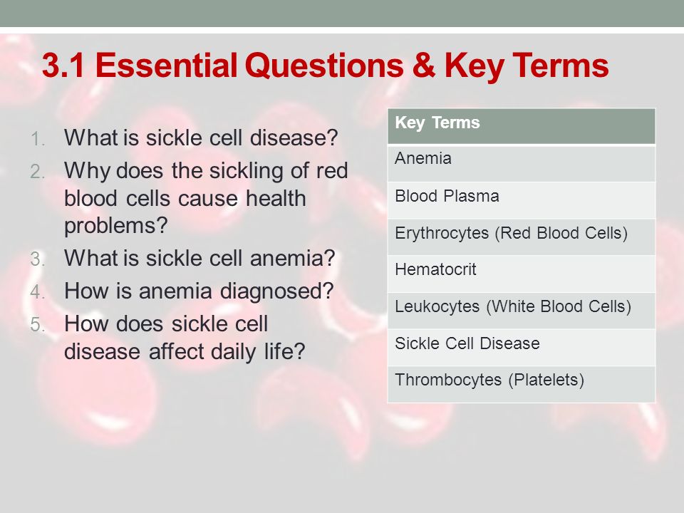 sickle cell disease essay sickle cell disease essay