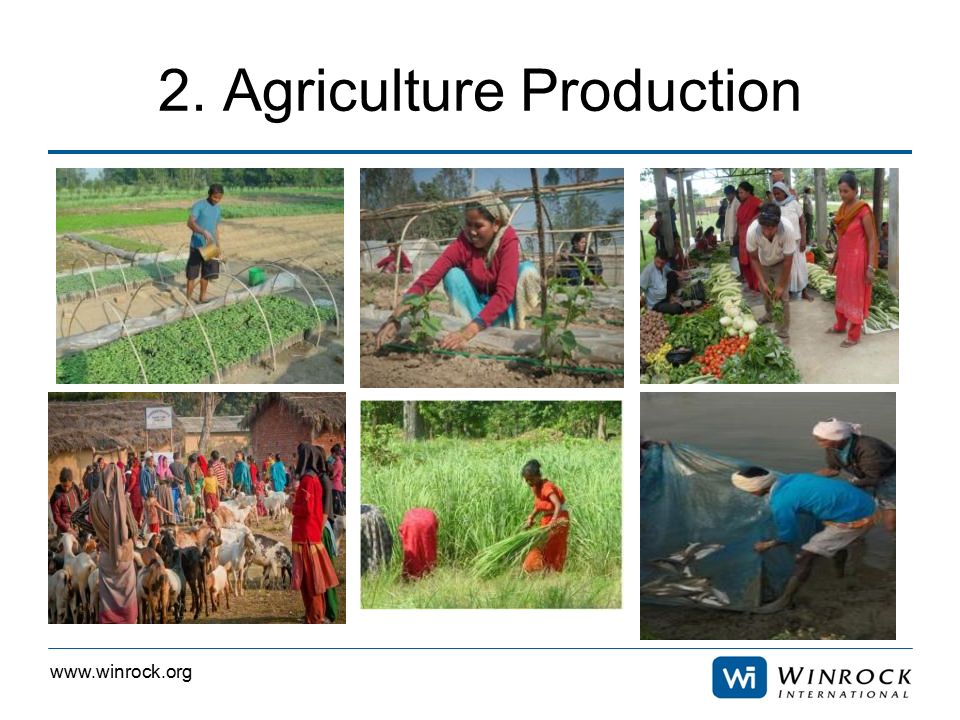 2. Agriculture Production