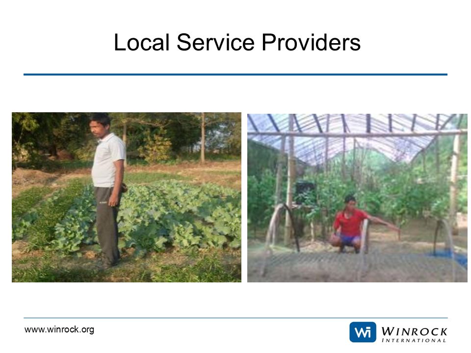 Local Service Providers