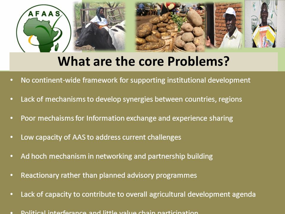 No continent-wide framework for supporting institutional development Lack of mechanisms to develop synergies between countries, regions Poor mechaisms for Information exchange and experience sharing Low capacity of AAS to address current challenges Ad hoch mechanism in networking and partnership building Reactionary rather than planned advisory programmes Lack of capacity to contribute to overall agricultural development agenda Political interferance and little value chain participation What are the core Problems