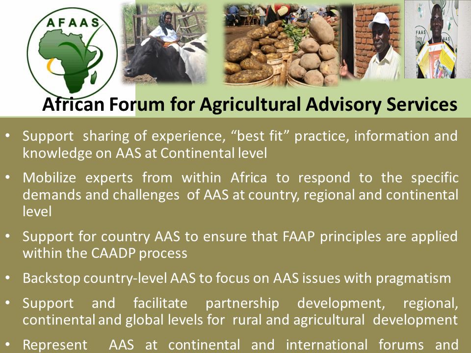 African Forum for Agricultural Advisory Services Support sharing of experience, best fit practice, information and knowledge on AAS at Continental level Mobilize experts from within Africa to respond to the specific demands and challenges of AAS at country, regional and continental level Support for country AAS to ensure that FAAP principles are applied within the CAADP process Backstop country-level AAS to focus on AAS issues with pragmatism Support and facilitate partnership development, regional, continental and global levels for rural and agricultural development Represent AAS at continental and international forums and advocacy