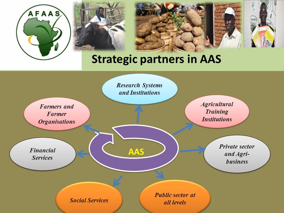 Research Systems and Institutions Farmers and Farmer Organisations Agricultural Training Institutions Private sector and Agri- business Financial Services Social Services Public sector at all levels Strategic partners in AAS AAS