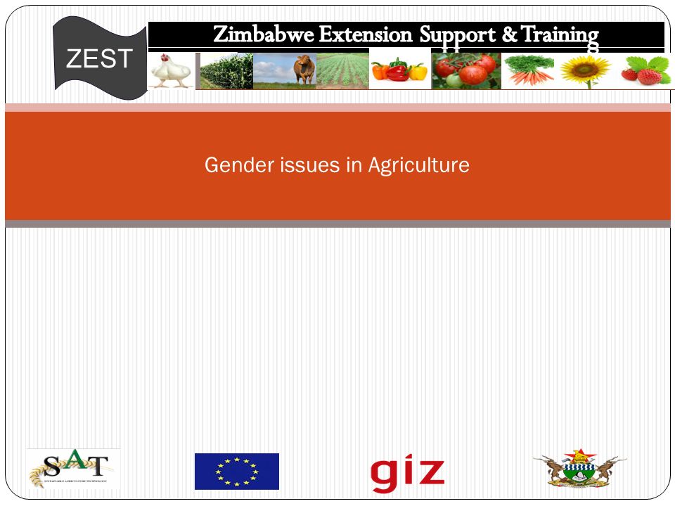 ZEST Gender issues in Agriculture