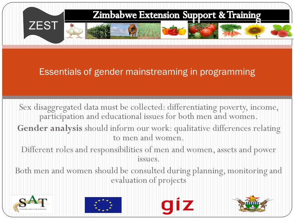 ZEST Sex disaggregated data must be collected: differentiating poverty, income, participation and educational issues for both men and women.