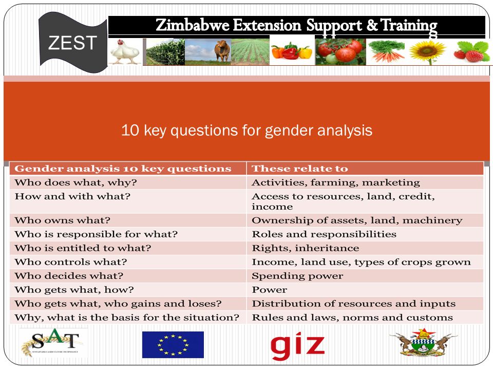 ZEST 10 key questions for gender analysis