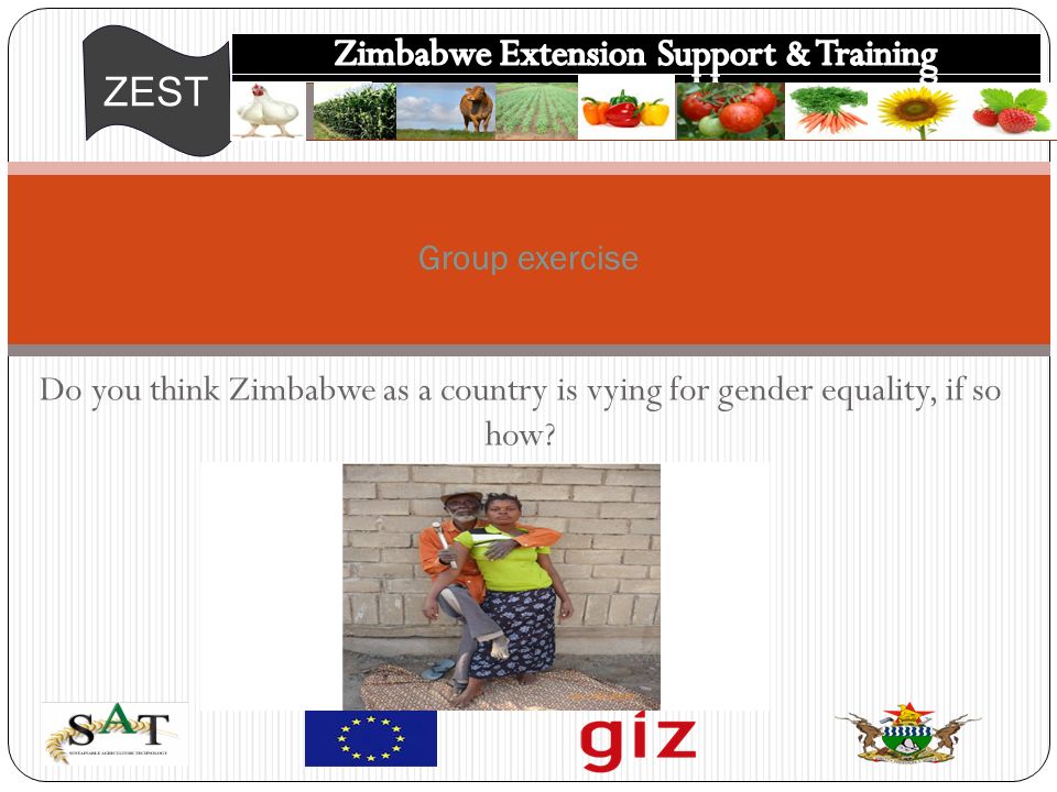 ZEST Do you think Zimbabwe as a country is vying for gender equality, if so how Group exercise