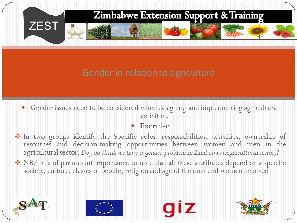 ZEST Gender issues need to be considered when designing and implementing agricultural activities.