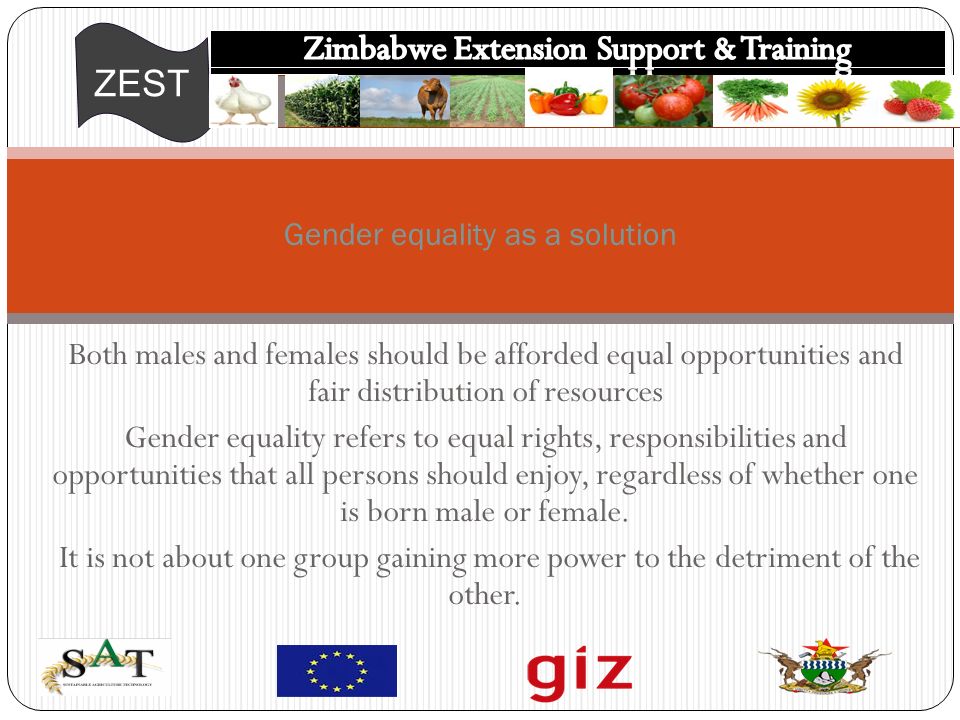 ZEST Both males and females should be afforded equal opportunities and fair distribution of resources Gender equality refers to equal rights, responsibilities and opportunities that all persons should enjoy, regardless of whether one is born male or female.