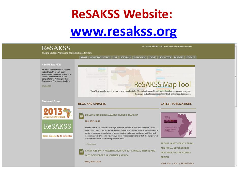 ReSAKSS Website: