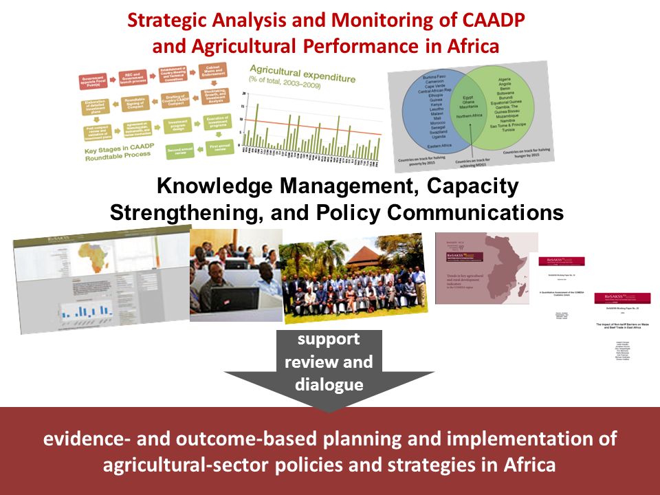 evidence- and outcome-based planning and implementation of agricultural-sector policies and strategies in Africa Strategic Analysis and Monitoring of CAADP and Agricultural Performance in Africa Knowledge Management, Capacity Strengthening, and Policy Communications support review and dialogue