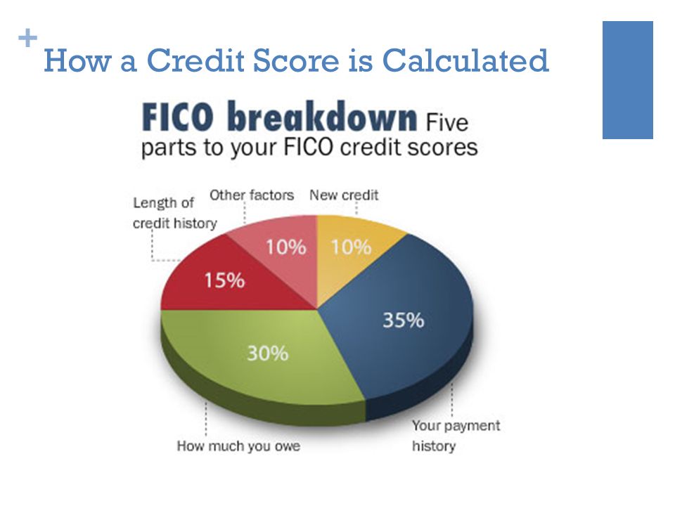 + How a Credit Score is Calculated