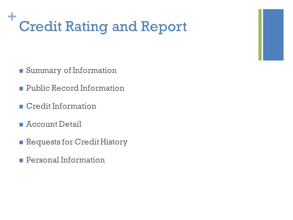 + Credit Rating and Report Summary of Information Public Record Information Credit Information Account Detail Requests for Credit History Personal Information