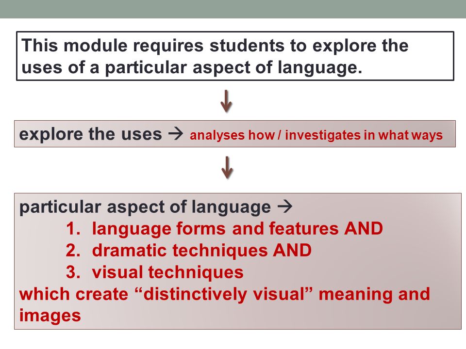 This module requires students to explore the uses of a particular aspect of language.