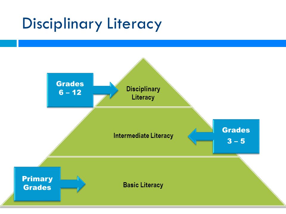 Disciplinary Literacy Disciplinary Literacy Disciplinary Literacy Intermediate Literacy Basic Literacy