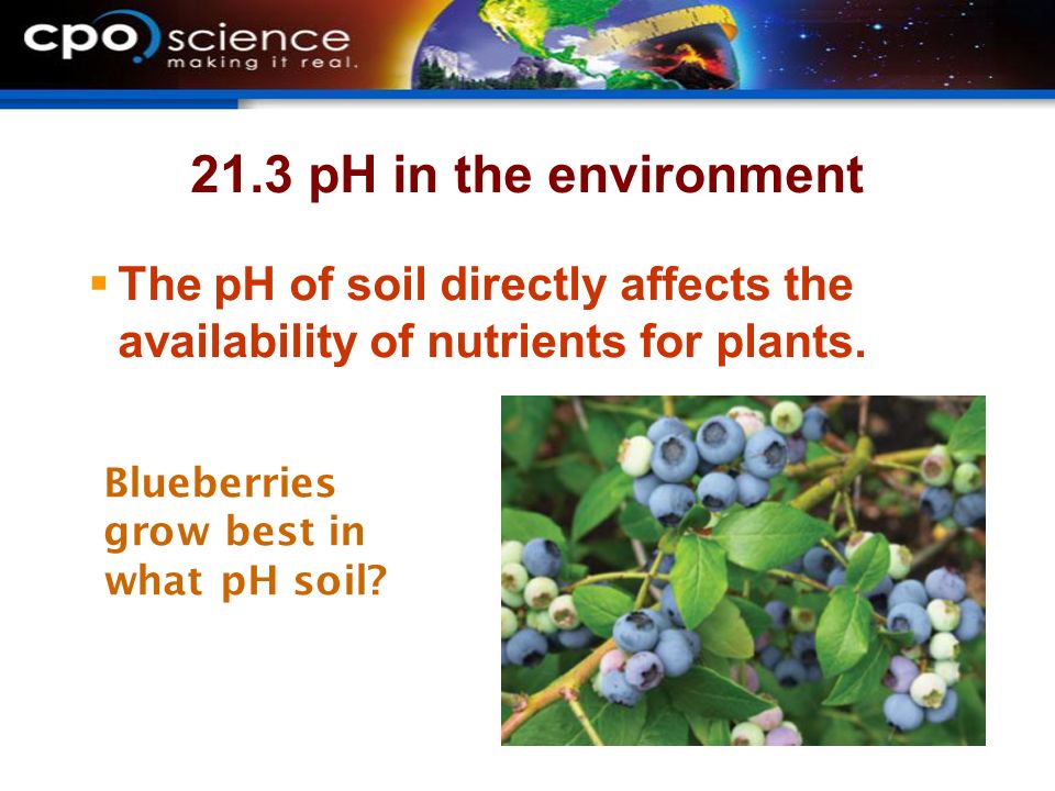 21.3 pH in the environment  The pH of soil directly affects the availability of nutrients for plants.