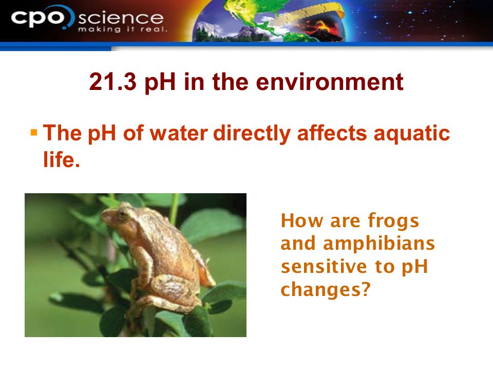 21.3 pH in the environment  The pH of water directly affects aquatic life.