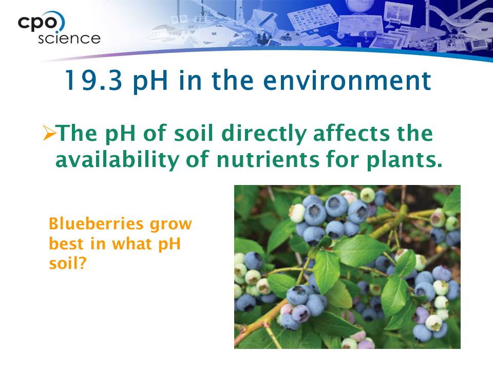 19.3 pH in the environment  The pH of soil directly affects the availability of nutrients for plants.