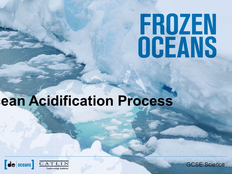 Ocean Acidification Process GCSE Science