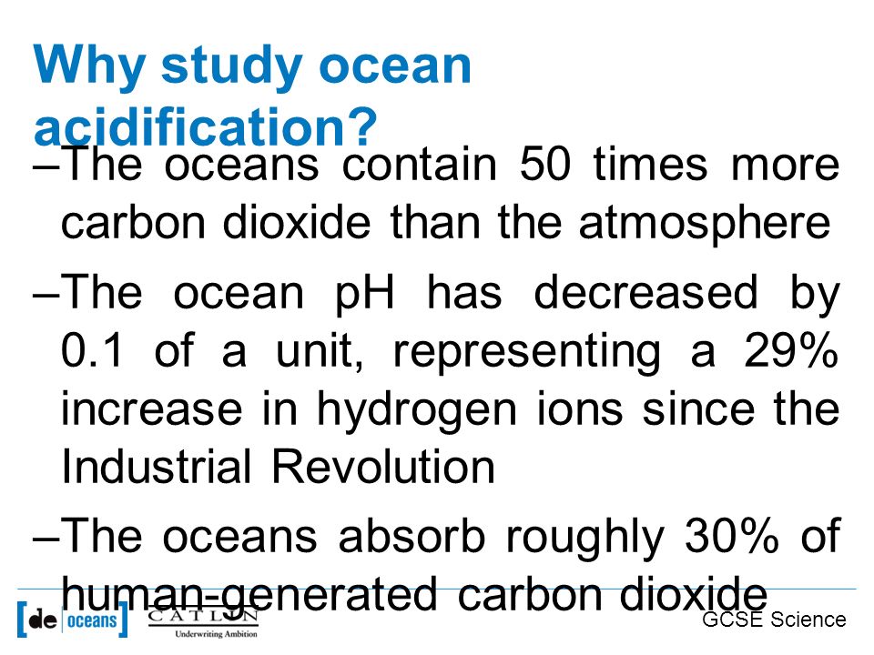 Why study ocean acidification.