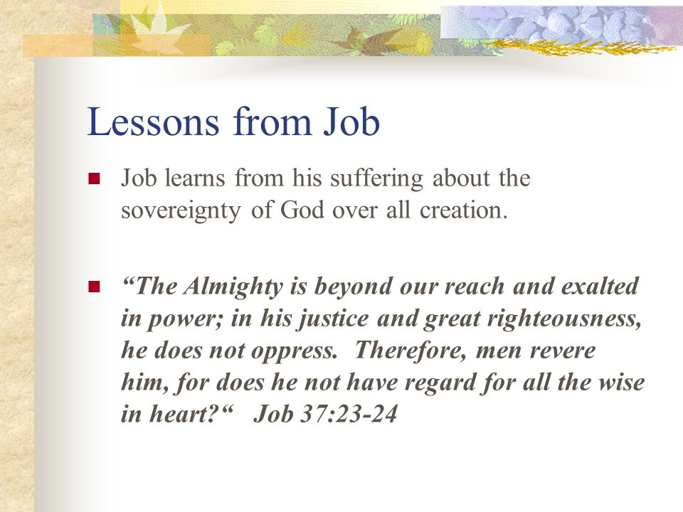 the meaning of suffering in job the meaning of suffering in job