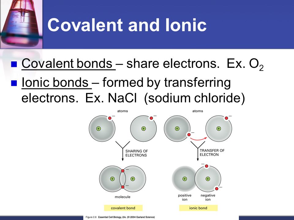Covalent and Ionic Covalent bonds – share electrons.