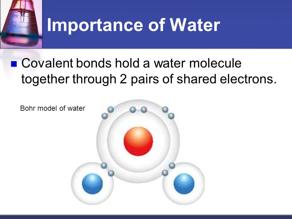 Importance of Water Covalent bonds hold a water molecule together through 2 pairs of shared electrons.