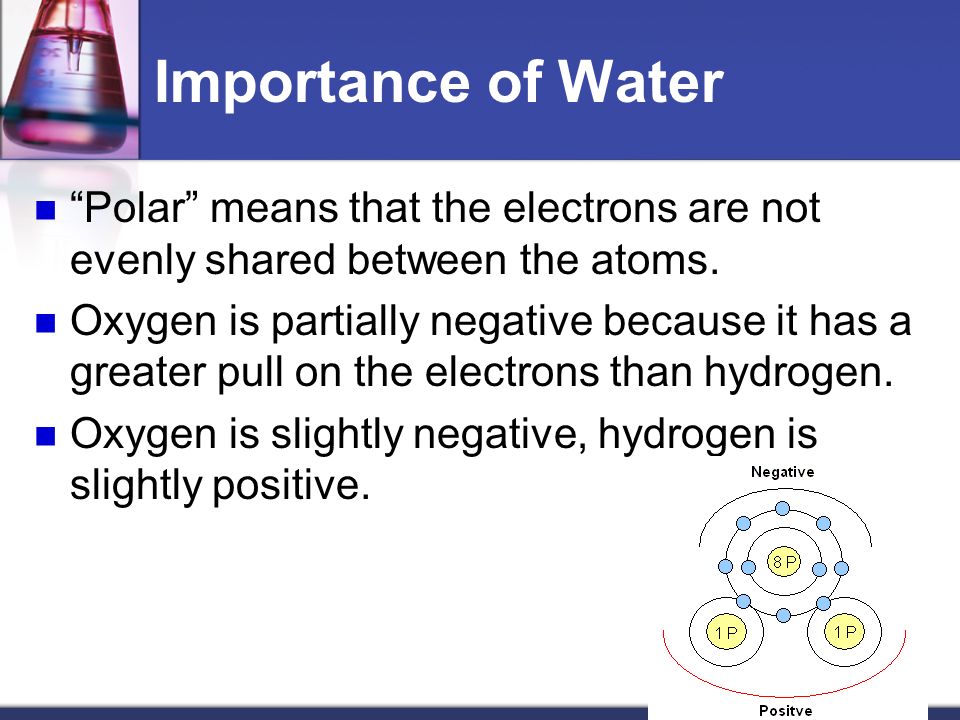 Importance of Water Polar means that the electrons are not evenly shared between the atoms.