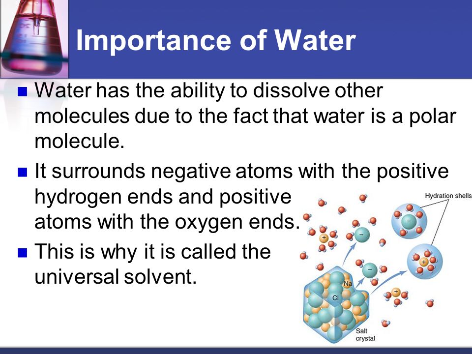 Importance of Water Water has the ability to dissolve other molecules due to the fact that water is a polar molecule.