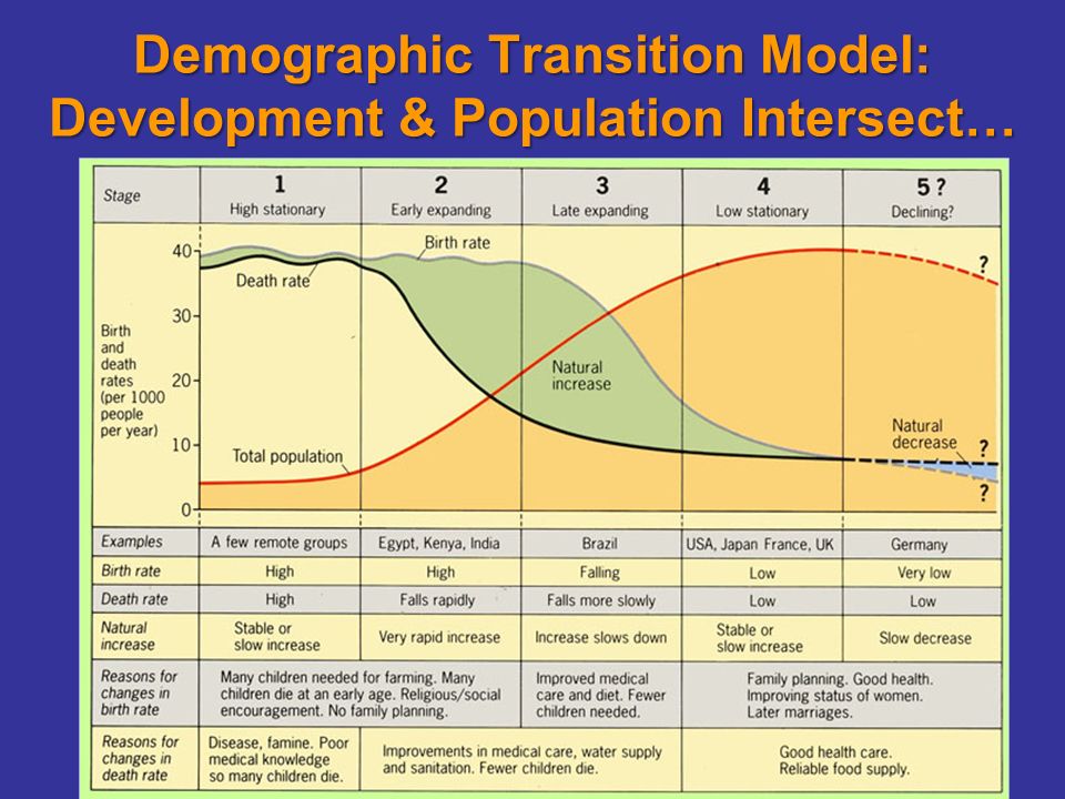 Potion Aphg Spring Ppt Download 53 Demographic Transition Model Development Potion Intersect