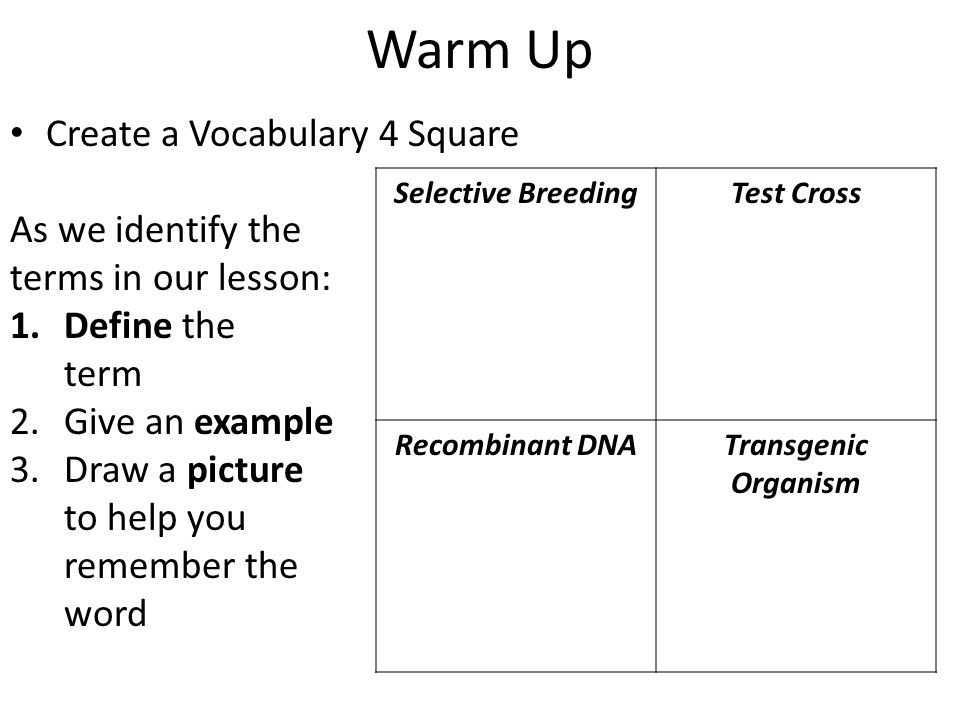 Warm Up Create a Vocabulary 4 Square As we identify the terms in our lesson: 1.Define the term 2.