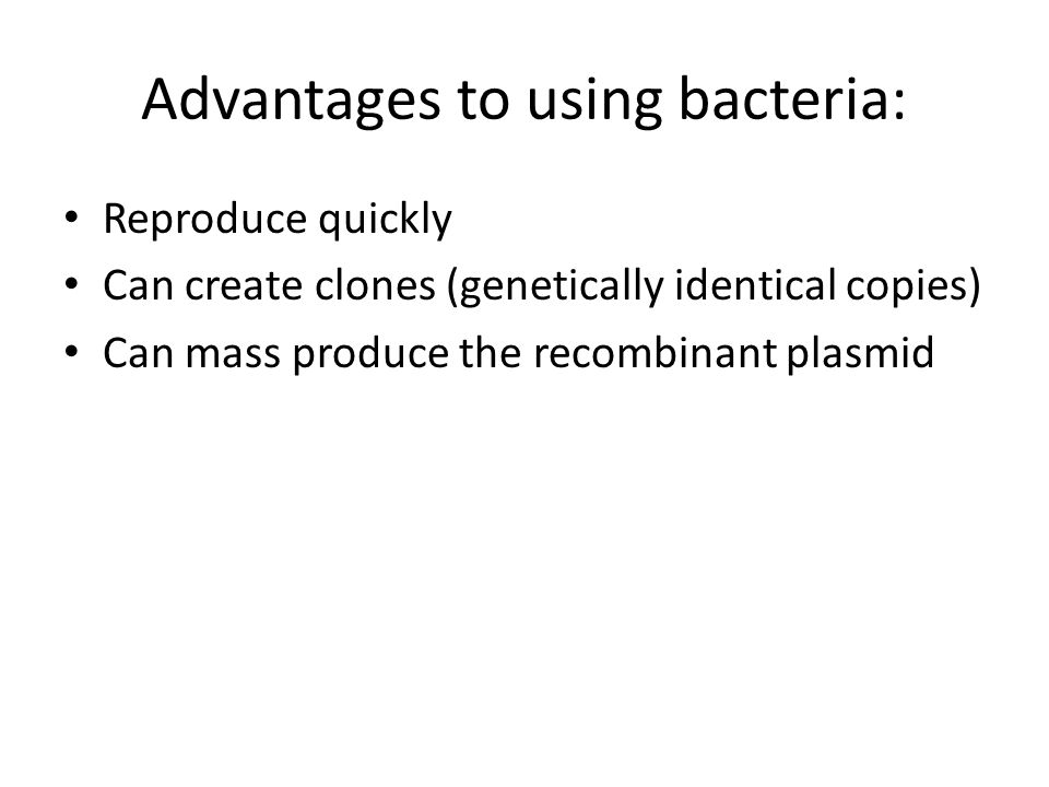 Advantages to using bacteria: Reproduce quickly Can create clones (genetically identical copies) Can mass produce the recombinant plasmid