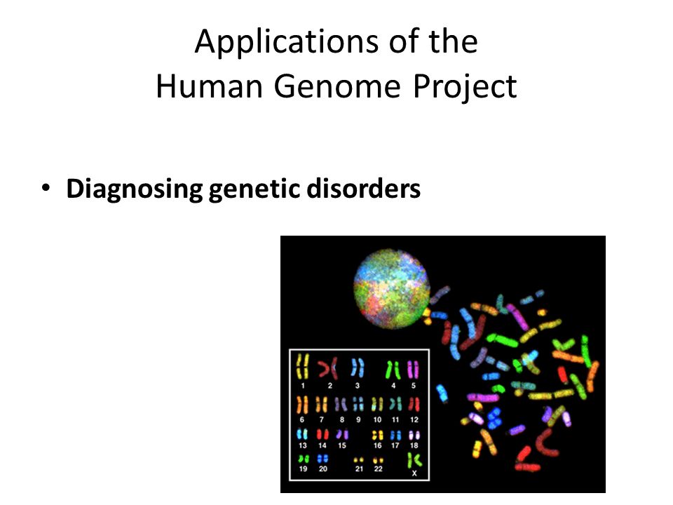 Applications of the Human Genome Project Diagnosing genetic disorders