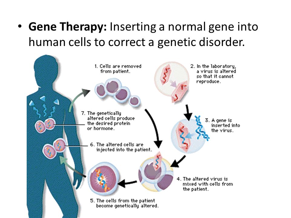 Gene Therapy: Inserting a normal gene into human cells to correct a genetic disorder.