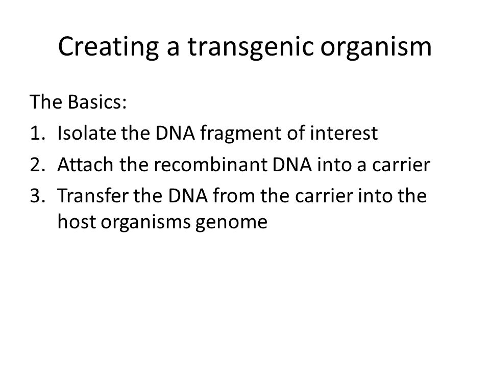 Creating a transgenic organism The Basics: 1.Isolate the DNA fragment of interest 2.Attach the recombinant DNA into a carrier 3.Transfer the DNA from the carrier into the host organisms genome