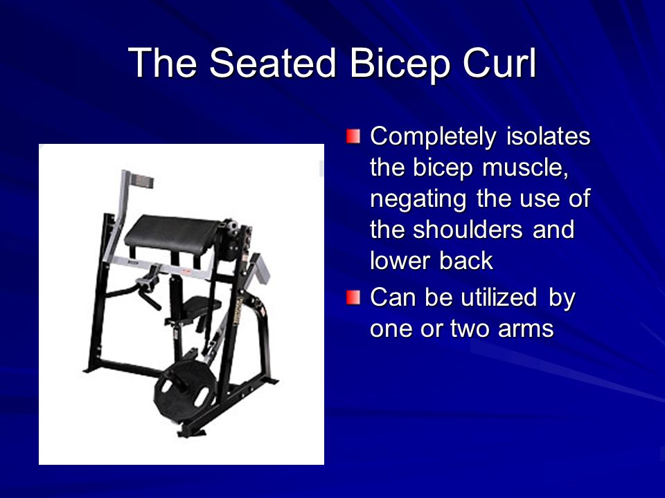 The Seated Bicep Curl Completely isolates the bicep muscle, negating the use of the shoulders and lower back Can be utilized by one or two arms