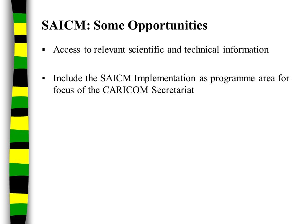  Access to relevant scientific and technical information  Include the SAICM Implementation as programme area for focus of the CARICOM Secretariat SAICM: Some Opportunities