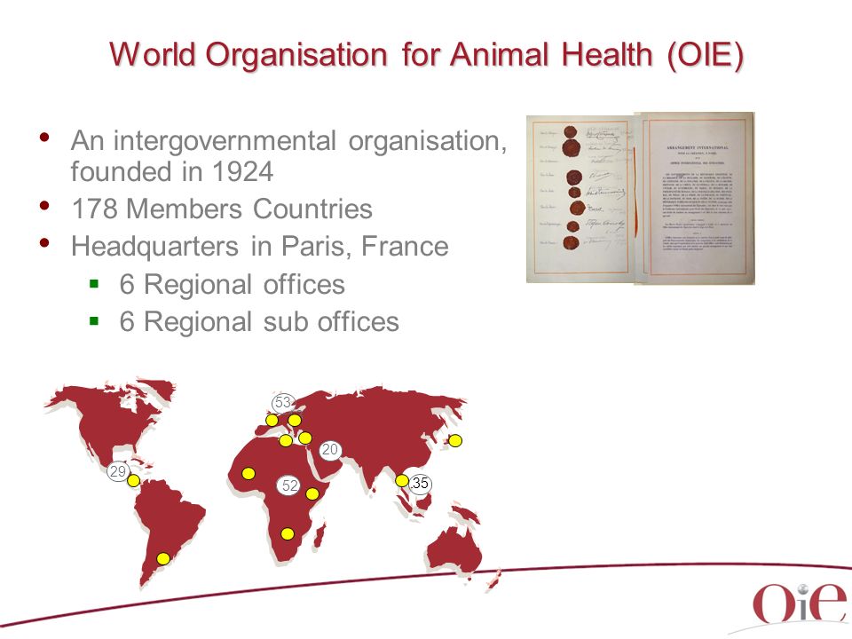 World Organisation for Animal Health (OIE) An intergovernmental organisation, founded in Members Countries Headquarters in Paris, France  6 Regional offices  6 Regional sub offices
