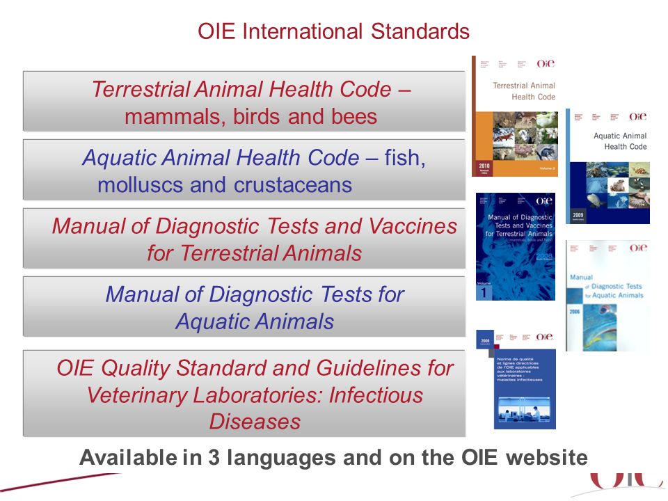 OIE International Standards Terrestrial Animal Health Code – mammals, birds and bees Aquatic Animal Health Code – fish, molluscs and crustaceans Manual of Diagnostic Tests for Aquatic Animals Manual of Diagnostic Tests and Vaccines for Terrestrial Animals OIE Quality Standard and Guidelines for Veterinary Laboratories: Infectious Diseases Available in 3 languages and on the OIE website