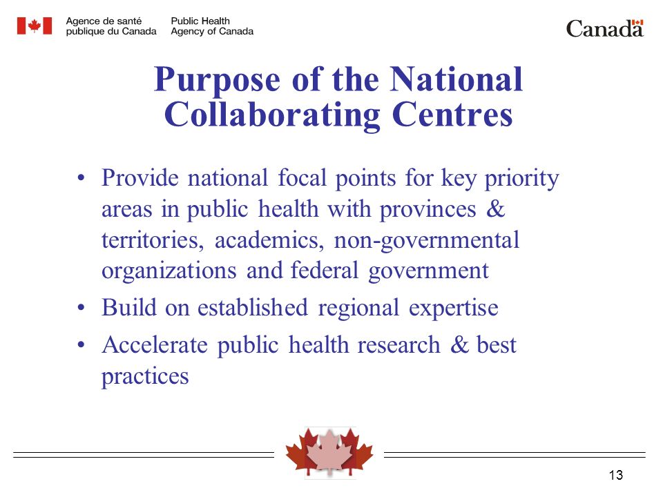 13 Purpose of the National Collaborating Centres Provide national focal points for key priority areas in public health with provinces & territories, academics, non-governmental organizations and federal government Build on established regional expertise Accelerate public health research & best practices