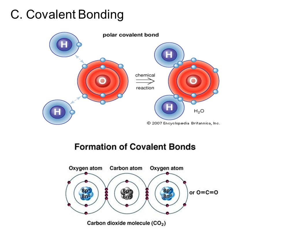 C. Covalent Bonding
