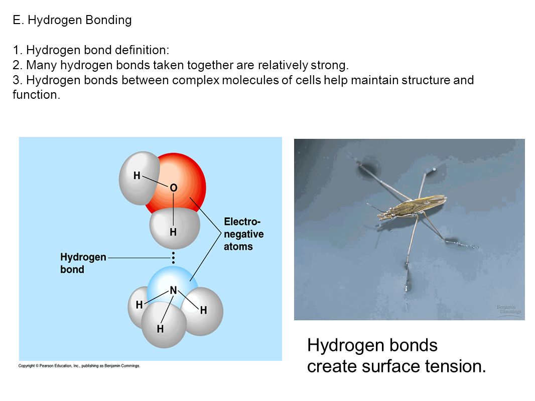 E. Hydrogen Bonding 1. Hydrogen bond definition: 2.