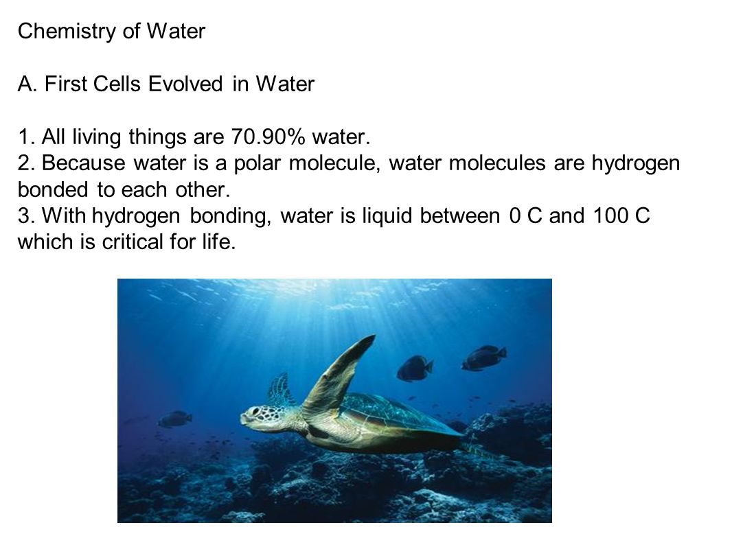 Chemistry of Water A. First Cells Evolved in Water 1.