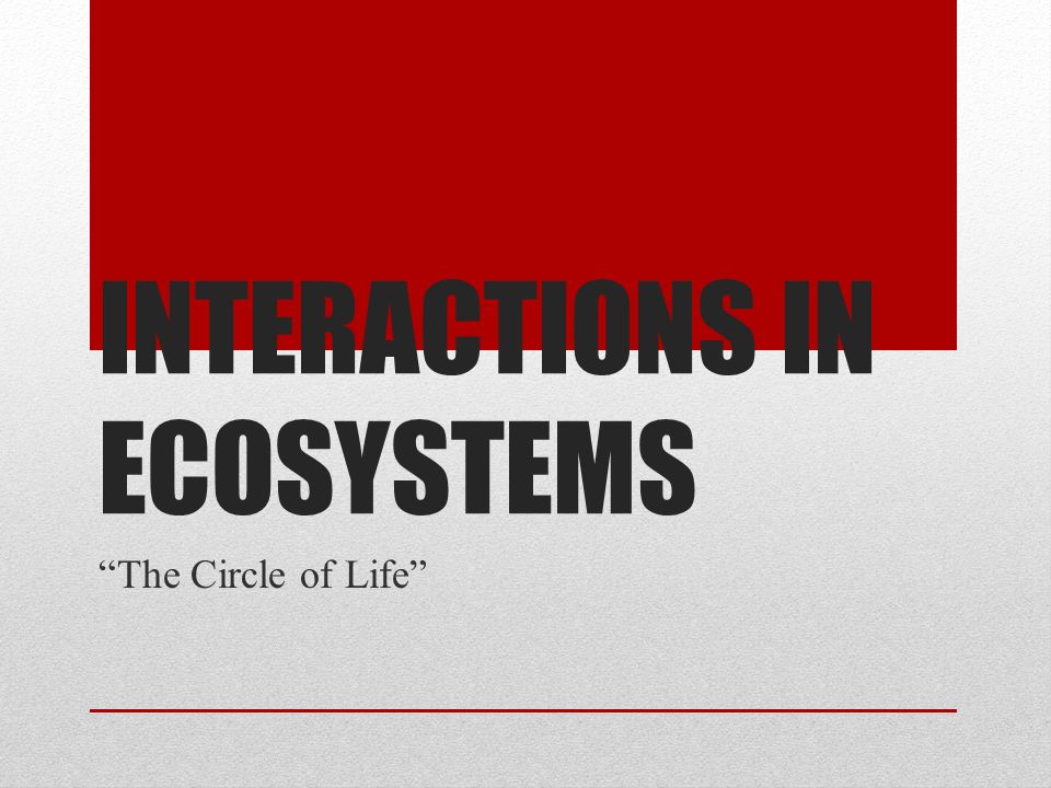 INTERACTIONS IN ECOSYSTEMS The Circle of Life