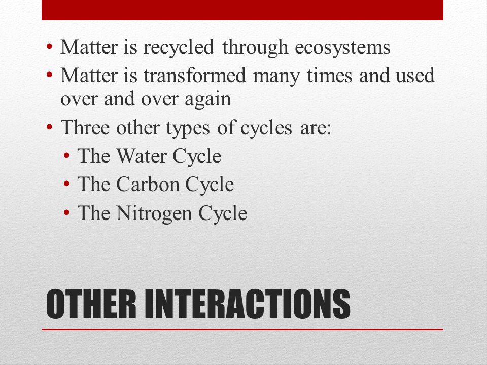 OTHER INTERACTIONS Matter is recycled through ecosystems Matter is transformed many times and used over and over again Three other types of cycles are: The Water Cycle The Carbon Cycle The Nitrogen Cycle