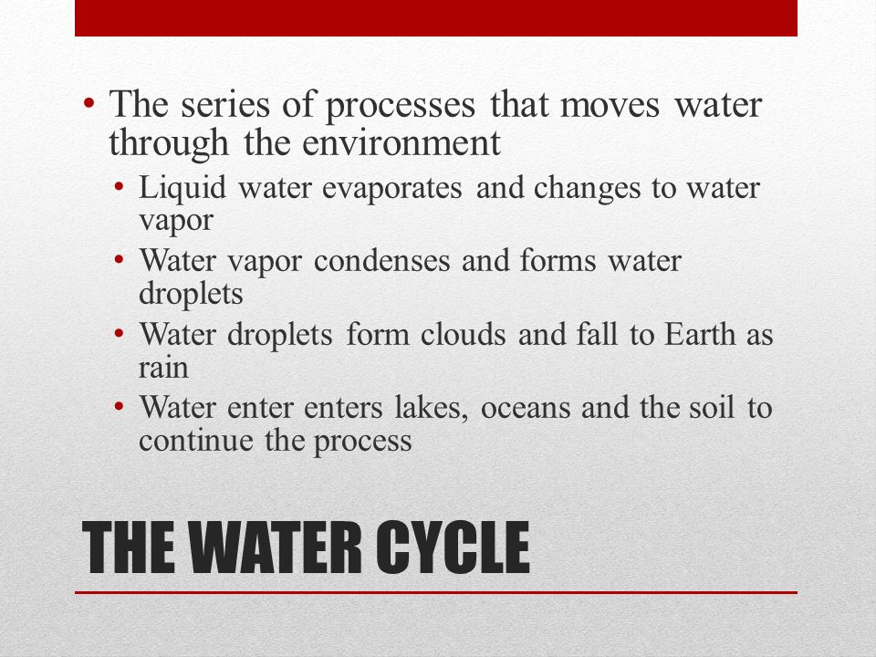 THE WATER CYCLE The series of processes that moves water through the environment Liquid water evaporates and changes to water vapor Water vapor condenses and forms water droplets Water droplets form clouds and fall to Earth as rain Water enter enters lakes, oceans and the soil to continue the process