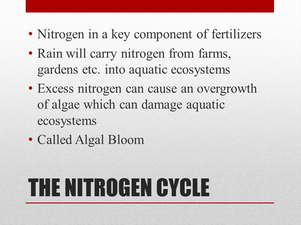 Nitrogen in a key component of fertilizers Rain will carry nitrogen from farms, gardens etc.