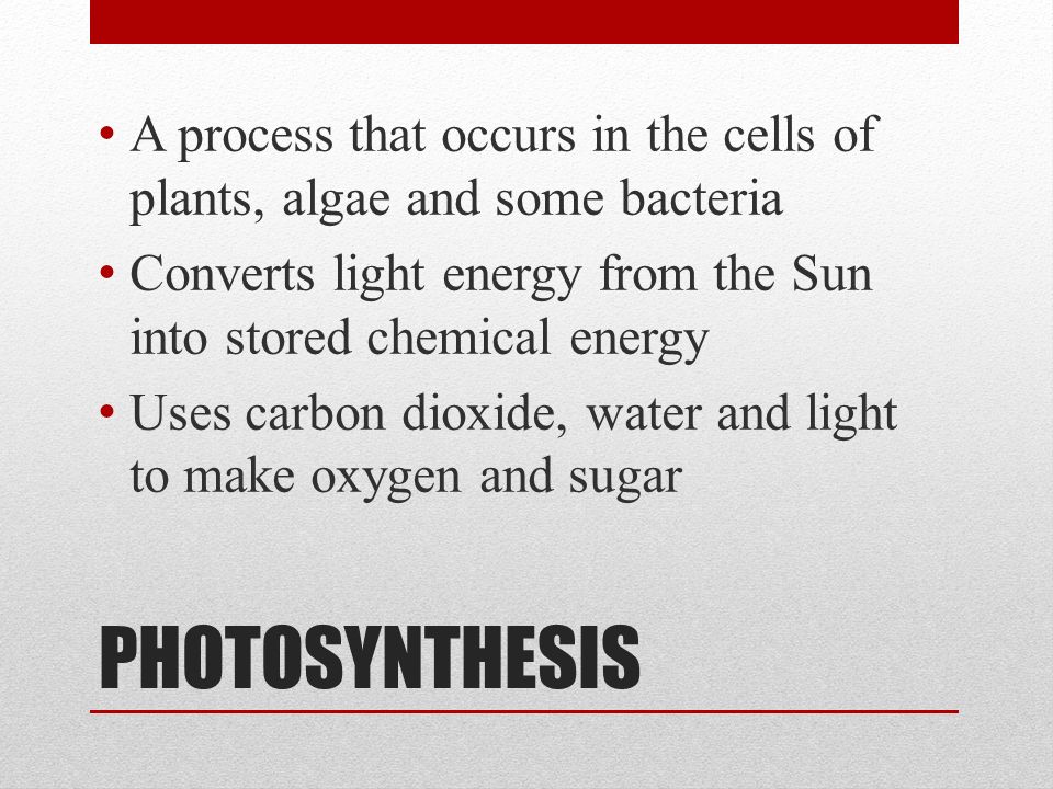 PHOTOSYNTHESIS A process that occurs in the cells of plants, algae and some bacteria Converts light energy from the Sun into stored chemical energy Uses carbon dioxide, water and light to make oxygen and sugar