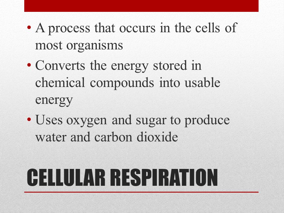 CELLULAR RESPIRATION A process that occurs in the cells of most organisms Converts the energy stored in chemical compounds into usable energy Uses oxygen and sugar to produce water and carbon dioxide